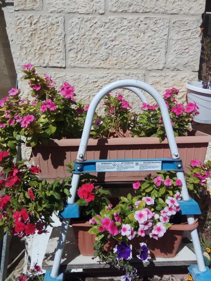 Cozy Garden Apartment Ierusalim Exterior foto
