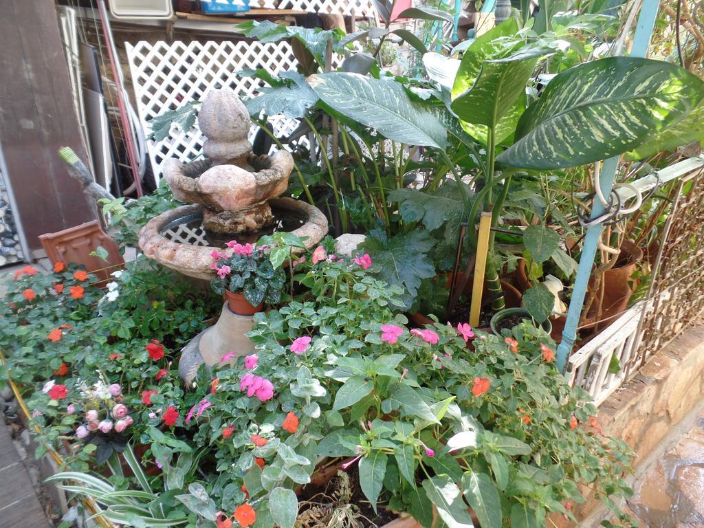 Cozy Garden Apartment Ierusalim Exterior foto