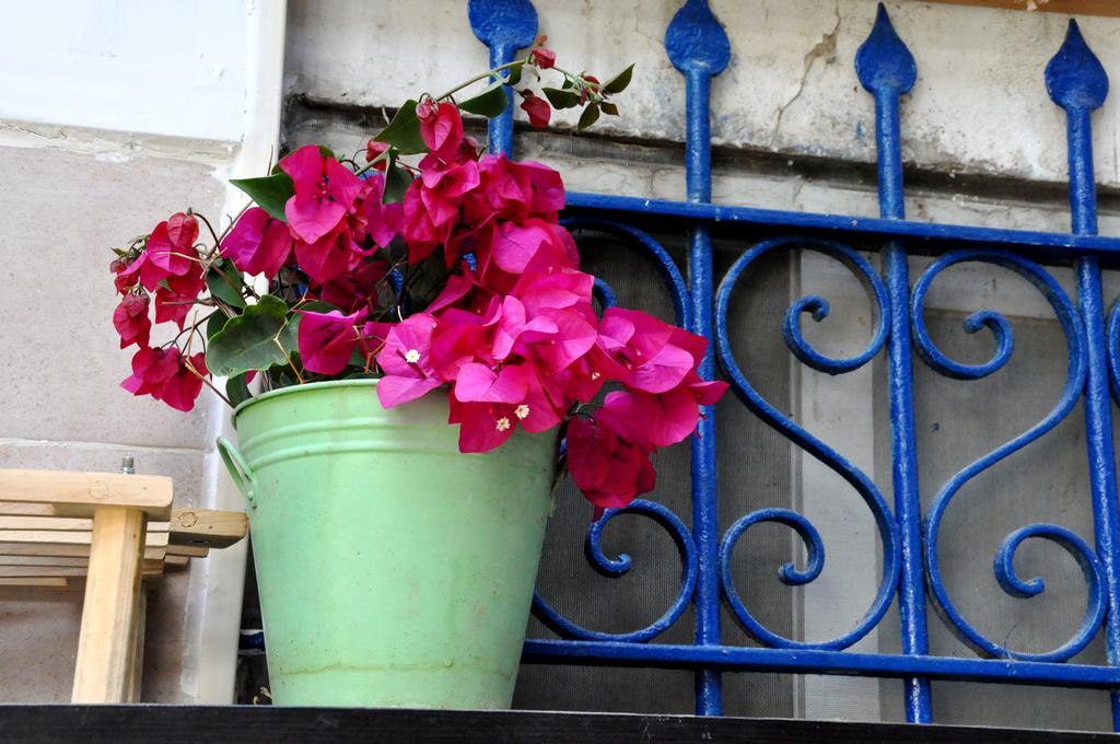 Cozy Garden Apartment Ierusalim Exterior foto
