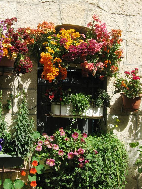Cozy Garden Apartment Ierusalim Exterior foto