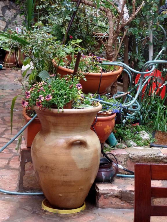 Cozy Garden Apartment Ierusalim Exterior foto