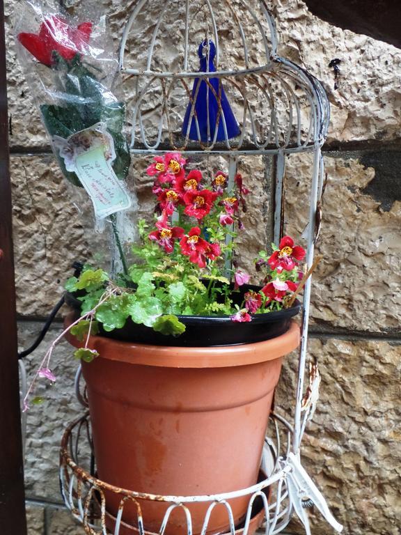 Cozy Garden Apartment Ierusalim Exterior foto