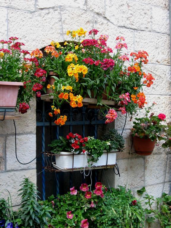 Cozy Garden Apartment Ierusalim Exterior foto