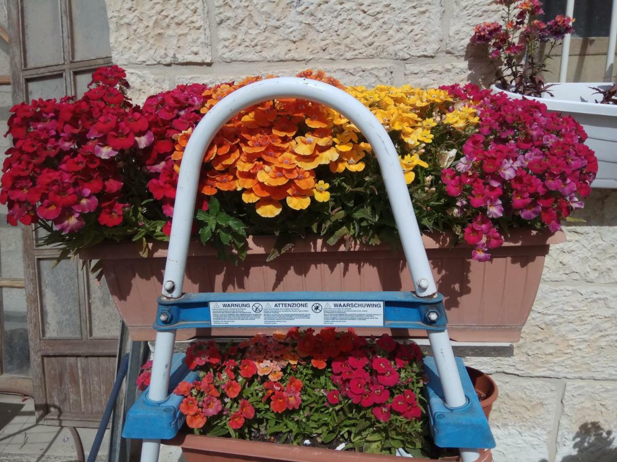 Cozy Garden Apartment Ierusalim Exterior foto